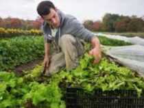 Diploma in Agriculture Online Course