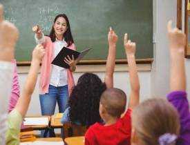Diploma in Primary Education Online Course