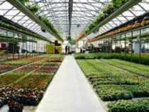 Online Course Diploma in Horticulture