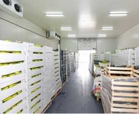 Online courses Diploma in Cold Storage Manager