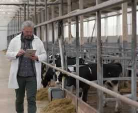 Online courses Diploma in Dairy Farm Supervisor