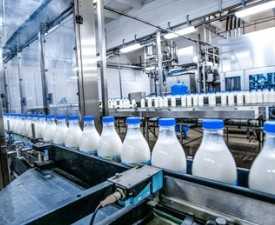 Online Courses Diploma in Milk Product Manufacturing