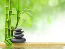 Online Courses Diploma in Feng-Shui