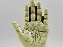 Online Courses Diploma in Palmistry