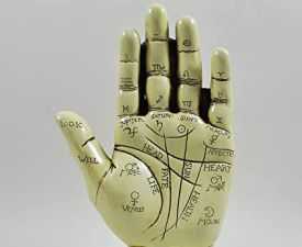 Online Courses Diploma in Palmistry