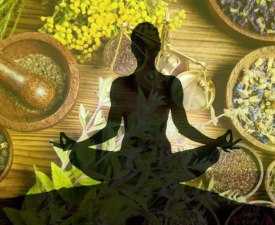 ONLINE COURSE ADVANCED DIPLOMA IN YOGA & NATUROPATHY SCIENCE
