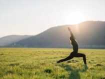 ONLINE COURSE DIPLOMA IN YOGA & NATURE CARE