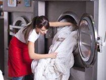 Online Course Diploma in Laundry Services