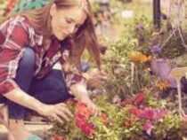 Online Course Advance Diploma in Gardening
