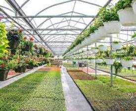 Online Course Advance Diploma in Nursery Production Technology