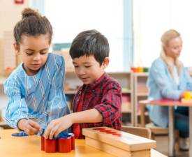 ONLINE COURSE DIPLOMA IN MONTESSORI AND CHILD EDUCATION