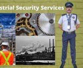 Online Course Diploma in Industrial Security Services