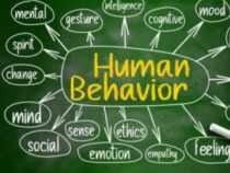 Diploma in Basics of Human Behaviour