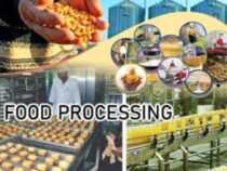 Diploma in Food Processing and Management
