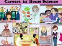 online course diploma in home Science