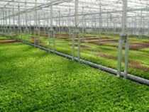 online course green house technology