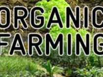 online course organic farming