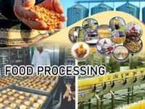 Certificate in Agri Food Processing
