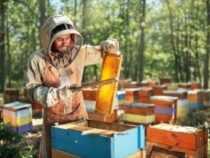 Certificate in Apiculture (Honey Bee Keeping)