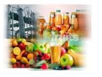 Certificate in Fruit Juice Extraction Plant