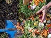 Certificate in Organic Waste Management Course