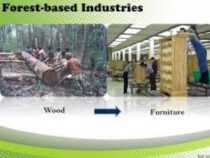 Forest Based Industries Course