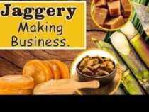 Jaggery Business Course