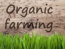 Organic Farming Business Course