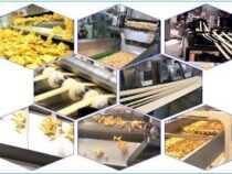 Snacks Processing Course