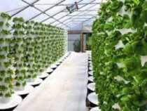 diploma in Hydroponics Course