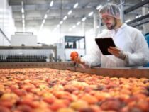 Online Course Certificate in Quality Control and Quality Assurance (Food Industry)
